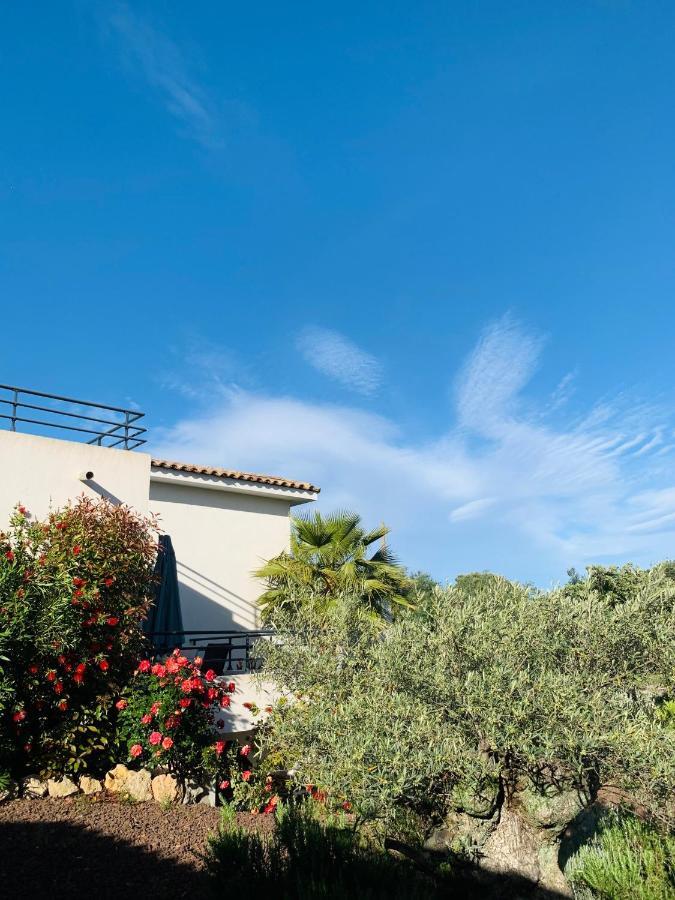 Le Mas Du Soleil Appartement Sainte-Maxime Buitenkant foto